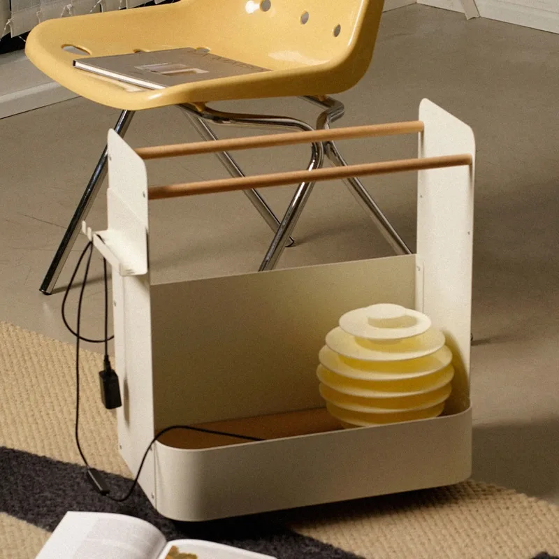 다기능 가정용 모바일 보관 카트, 거실 스포츠 장비,  - Sports Equipment Cart 리뷰 및 가격